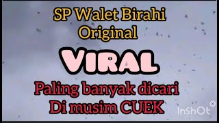Download lagu Suara Panggil Walet Birahi 100% asli paling banyak dicari mp3