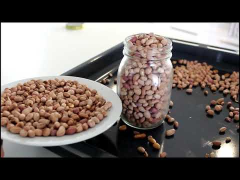 how to roast peanuts ( salt roasted peanuts)