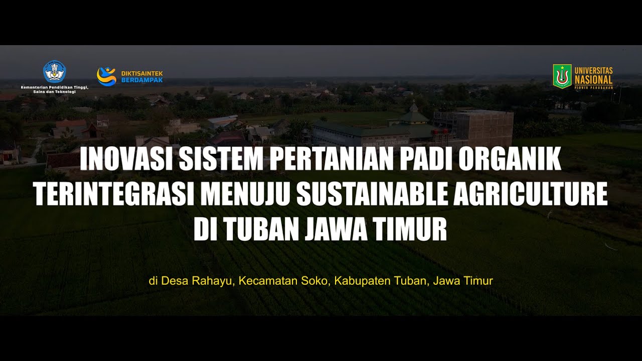 Pengembangan Sistem Budidaya Padi Organik menuju Sustainable Agriculture di Tuban Jawa Timur