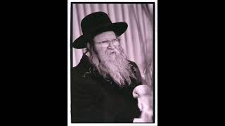 מודז'יץ | ביכורי זמרה 4 - 01 אילן אילן לכ"ק אדמו"ר ה"נחלת דן" זצוק"ל - תשנ"ג