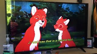 The Fox And The Hound - Appreciated The Lady [1080p HD]