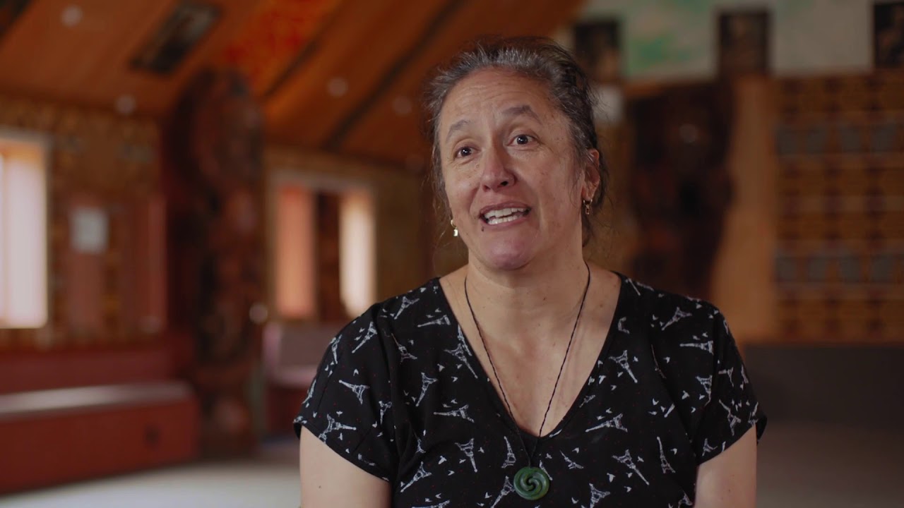 Module two: Te Tiriti o Waitangi, colonisation and racism