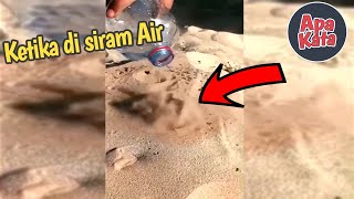 Download lagu Menakjubkan - Beginilah Reaksi Pasir Gurun Ketika Di Siram Air mp3