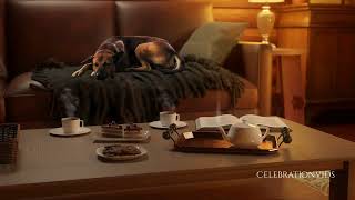 Home Sweet Home - Cozy Night - Tea Time - Celebrate Relaxation - HD - 1HR