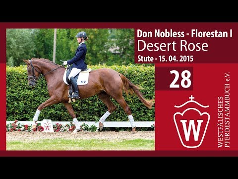 28 Desert Rose. Stute v. Don Nobless - Florestan I