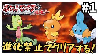 【縛りプレイ】ルビーを進化禁止でクリアする1【ポケモンRSE】