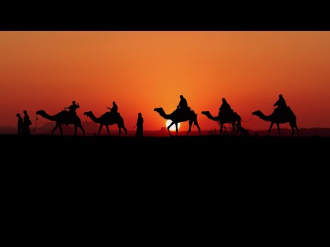 Caravan Foxtrot in Polish