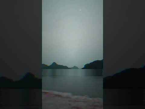 Tous les cris les SOS - Balavoine (cover by Lou Mai)