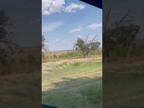 Buffalo Lake Preserve; Lubbock Tx