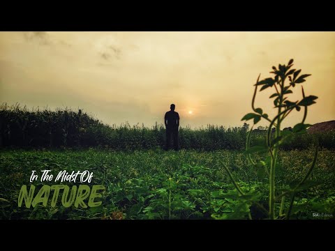 In The Midst Of NATURE | SIA's Edition | @BeyondTheGrooveBTG