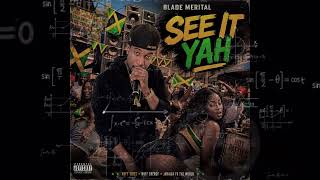 Blade Marital - See It Yah (Hill And Gully Riddim) [Audio Visualizer]