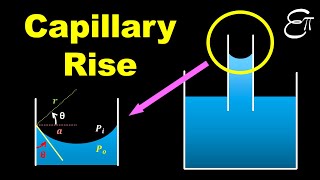 🔴 Capillary Rise || Surface Tension || for Class 11 in HINDI