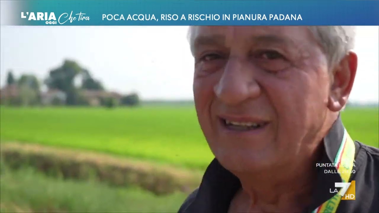 Poca acqua, riso a rischio in Pianura Padana