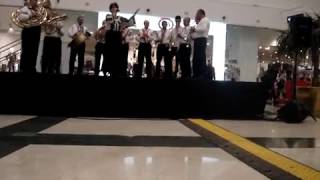 Fanfara Chetris Fratii Lucan - Hora de la Iasi - solista Violeta Buciumas - Palas - Iasi - 2016