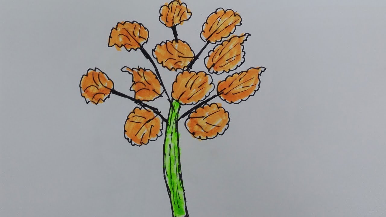 How to draw Maple Tree-draw a maple tree leaf-maple leaf drawing template