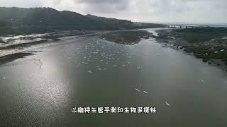 苗栗後龍溪出海口