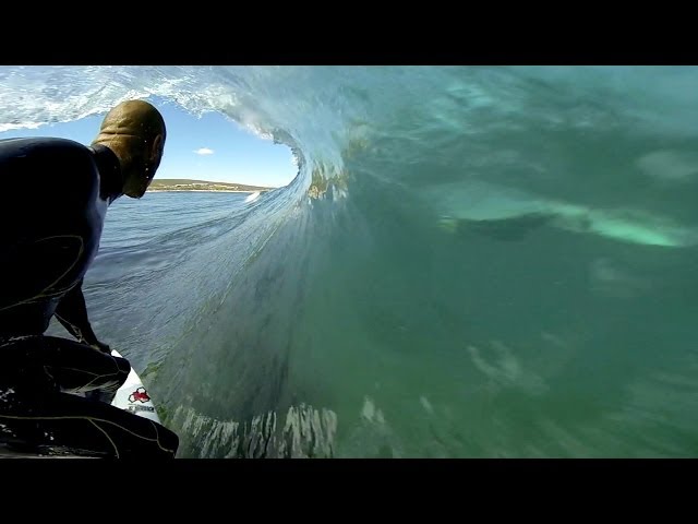 GoPro: Kelly Slater and Dolphins Surf The Box