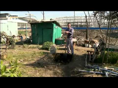 Brot und Spiele   Wenn Menschen bei Olympia stören