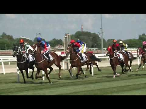 2024.05.05. 4. Futam - KINCSEM+ -BÁBOLNAI DÍJ (Elit kat.)