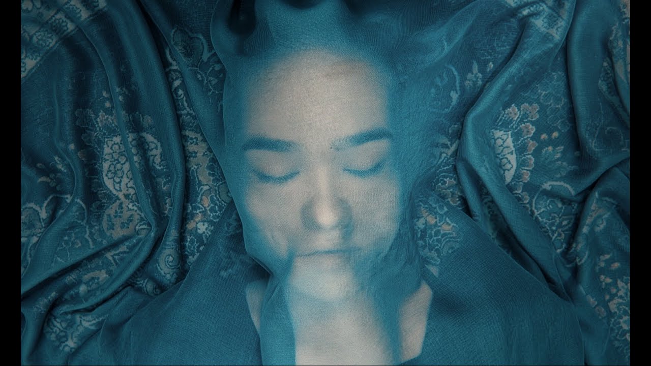 A Fox Under a Pink Moon — Official Trailer