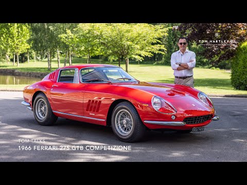 Thumbnail for Tom Talks: 1966 Ferrari 275 GTB Competizione | Tom Hartley Jnr by Ferrari, Ferrari 275, Car