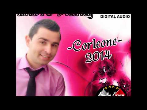 Imbro Manaj & Izmir Aliu - Corleone (Official Audio)
