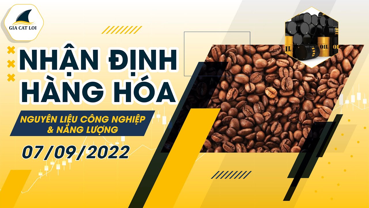 Nhận Định Thị Trường Năng Lượng & Nguyên Liệu Công Nghiệp Ngày 07/09/2022