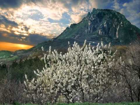 My Choice - André Rieu: World Stadium Tour (Medley of beautiful music)