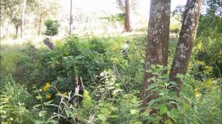 ♥ Marco Antonio Solis ♥ Por Que Siempre Te Amare ♥ Michoacan