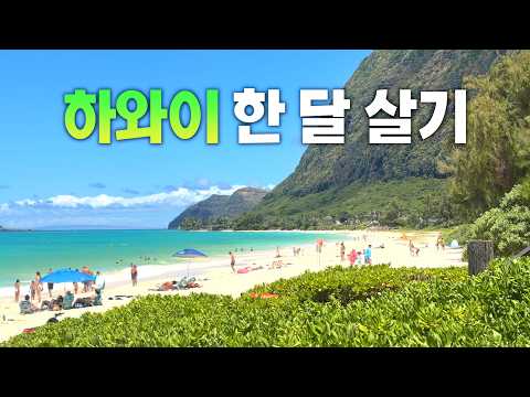 하와이 한 달 살기 완벽 가이드: 비용 절감 꿀팁과 여행 준비 노하우