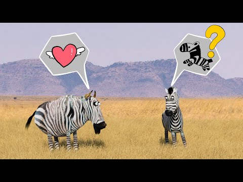 Savanna version - Makeup Wildebeest