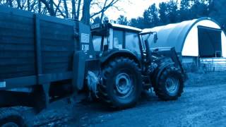 Farm video for Tomintoul Nursery (I wish it could be Christmas everyday)