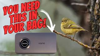 The Best $45 I’ve Spent on Photography Gear
