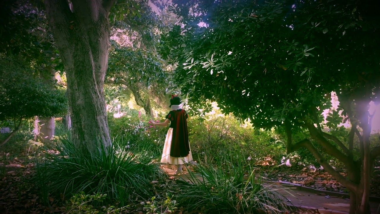 Promotional video thumbnail 3 for Fairytales Entertainment Los Angeles