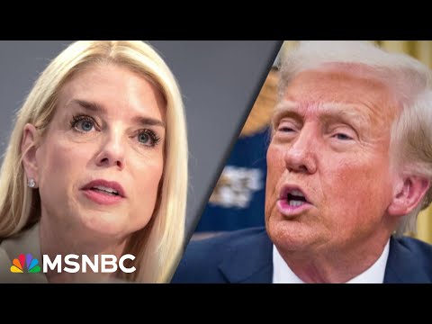 'No president since Nixon': Judiciary Dem slams Trump for abusing DOJ