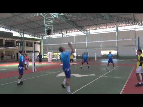 PETECA FELIX - pavão de coroa em pimenta.