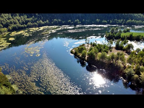 Ceyhan Nehri'nde sonbahar