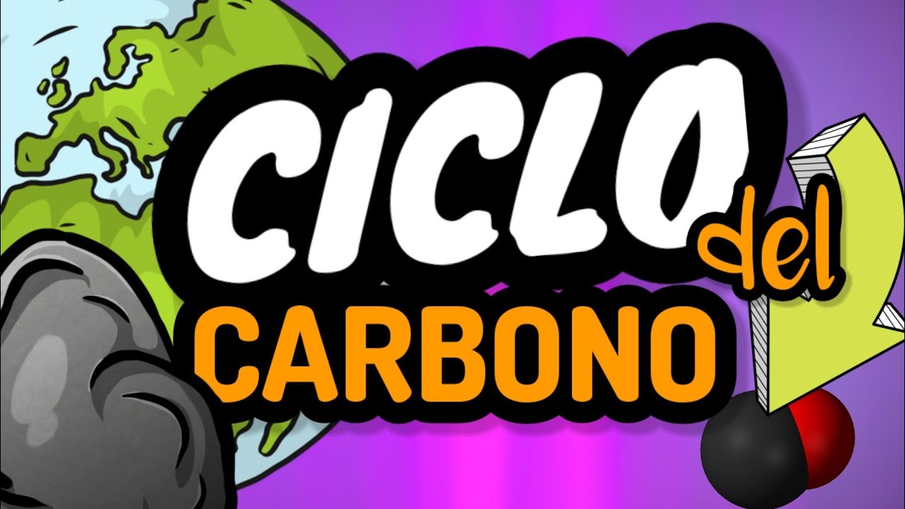 CICLO DEL CARBONO⚡fácil y rápido [guía examen unam, ipn, comipems]