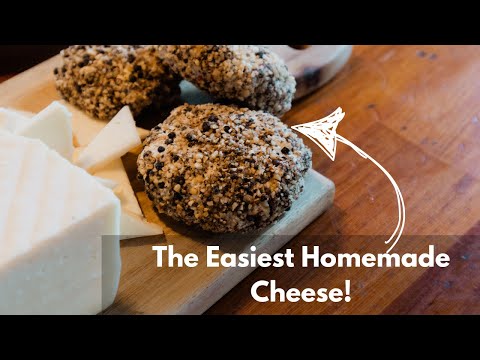 How To Make Hand Cheese / Beginner Homemade Cheese!