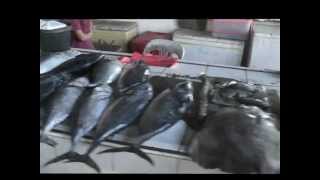 preview picture of video 'Fishmarket ,Coron Town, Busuanga island , Philippines'