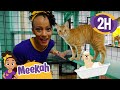 Meekah Visits An Animal Shelter Educational Videos For Kids Blippi And Meekah Kids TV