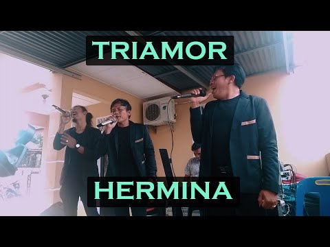 Diribak.!! Triamor - Hermina