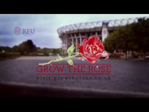 Grow the Rose