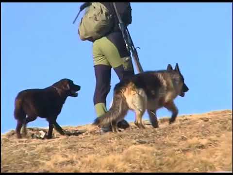 Im Tal des Steinadlers © Hans Bacher