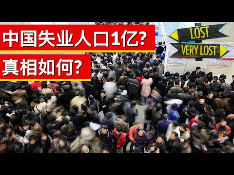 , title : '中国失业人口1亿? 真相如何?(字幕)/Are 100 Million Chinese Out of Work?/王剑每日观察/20201219'