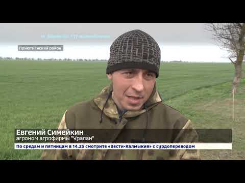 Россия 24 от 13.03.2020