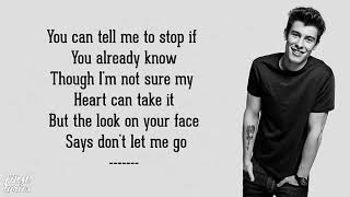 Shawn Mendes - Roses - Lyrics