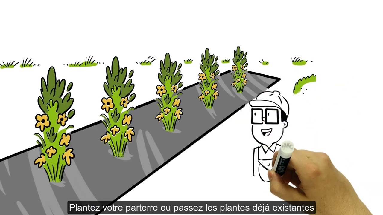 video placeholder