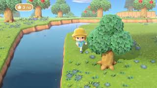 ～あつまれ　どうぶつの森(Switch 2)～#1