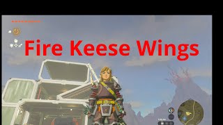 TOTK Fire Keese Wings